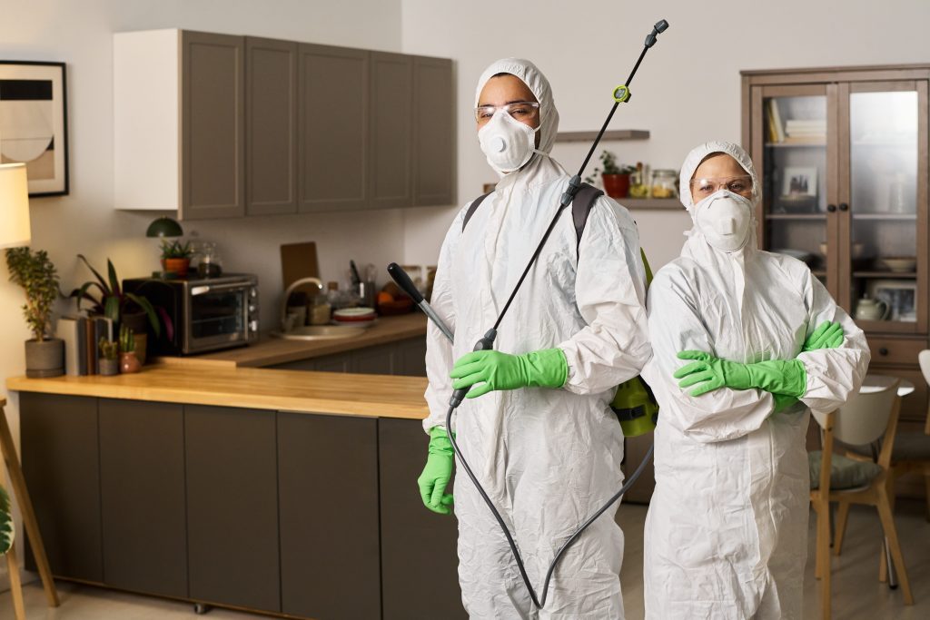 Restoration professionals inspecting water damage in a property